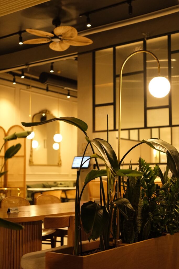 Restaurants et hôtels : salle chaleureuse avec plantes